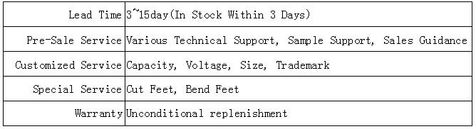 electrolytic capacitors